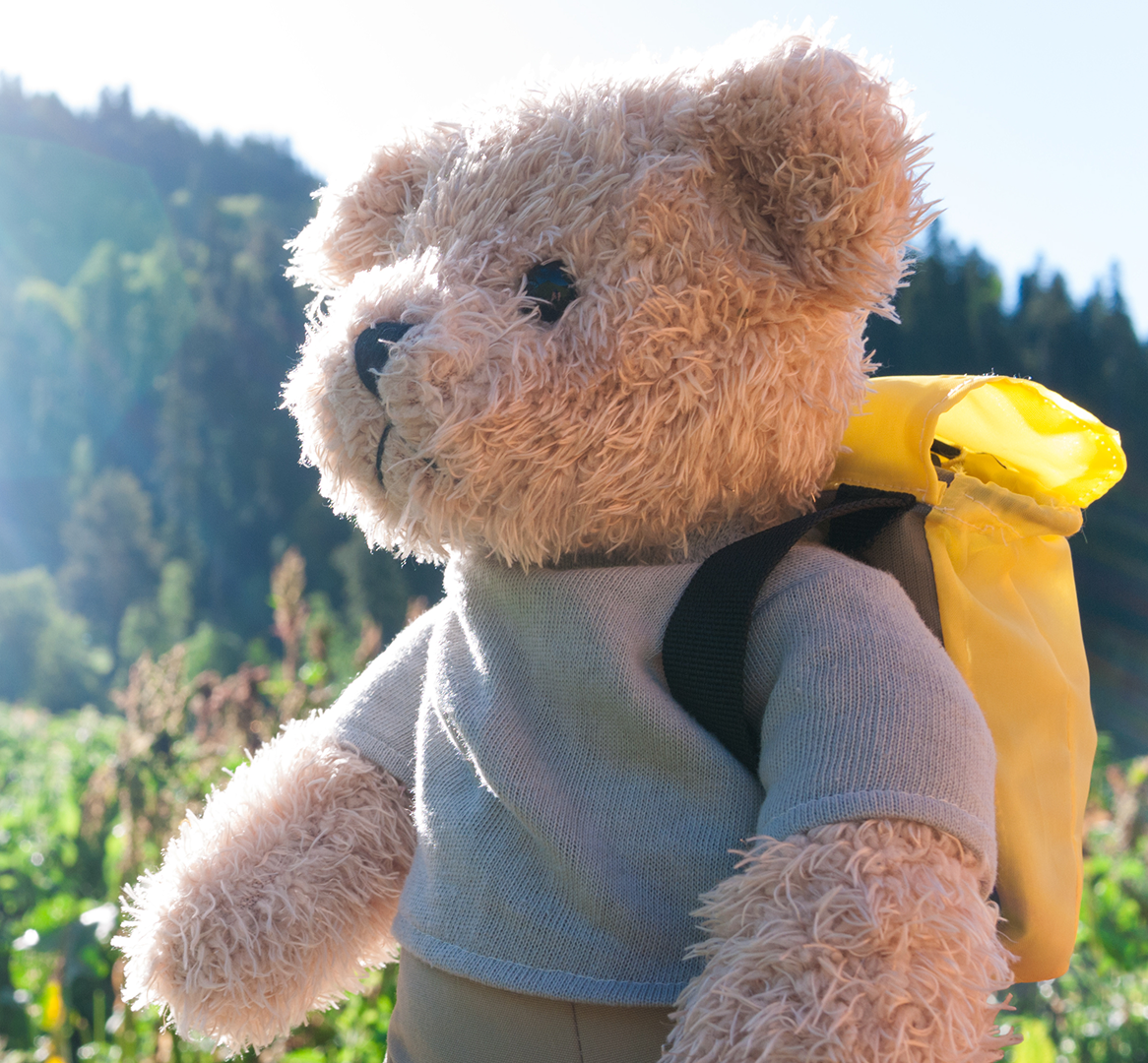 Close-up van een teddybeer met een rugzak op in de natuur.